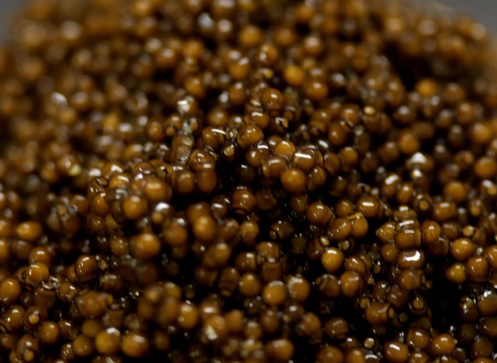 Kaluga, golden-amber caviar grains